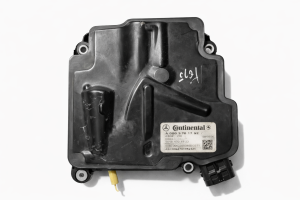 164 ML ŞANZIMAN BEYNİ