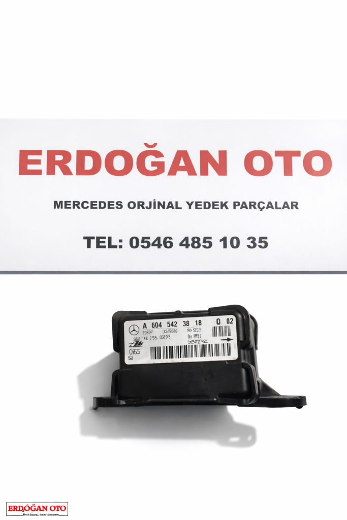 ML ESP BEYNİ